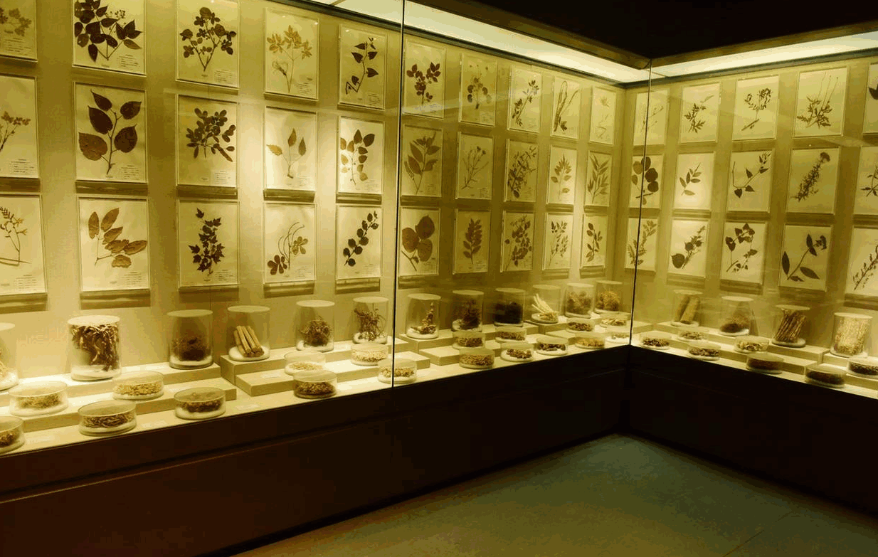 文化馆设计施工